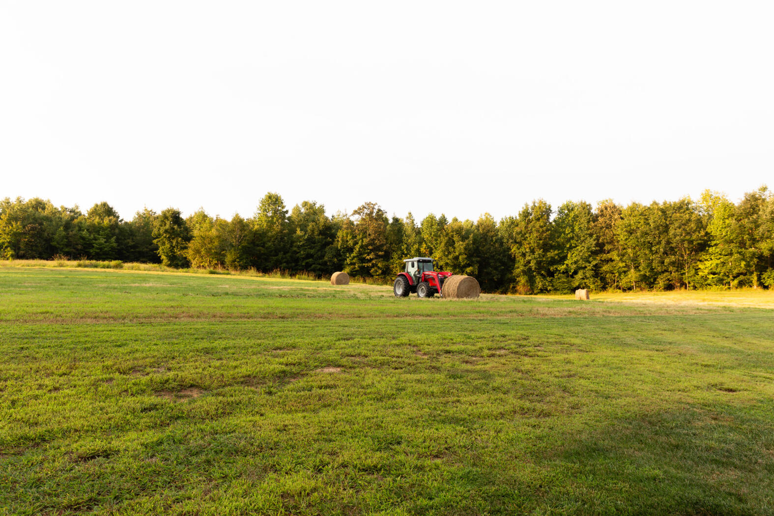 star buck cabin: owners
